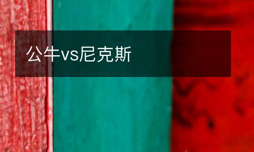 公牛vs尼克斯
